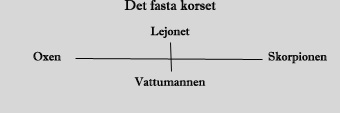 fastakorset